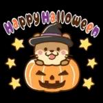 コツメカワウソ♡毎日つかえる秋