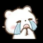 しろいこ組♡くまの気持ち伝える