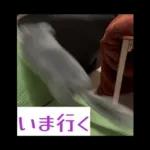 ふらんねるスタンプ【日常】