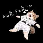 野球をする猫