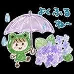 気遣い♡ぷっくり梅雨.天気