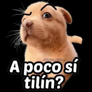 A poco sí tilín? - getsticker.com