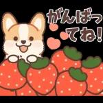 Pop-Up! Corgi's Spring Reply Sticker