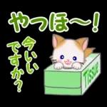 もふもふしっぽの子猫ちゃん　毎日使う言葉