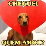por mim voltei