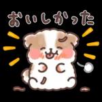 ふわふわシーズー 3歳児