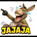 buenas noches 
