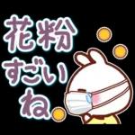 うさぎさん やさしい春の気づかい