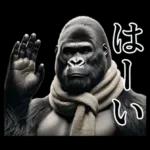 【冬】イケメンゴリラ