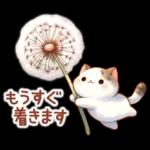 猫のつめあわせ⑤【春】