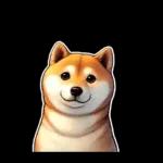 柴犬ワンダフル！！！！！