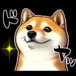 柴犬ワンダフル！！！！！