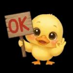 陰陽怪氣的小鴨鴨