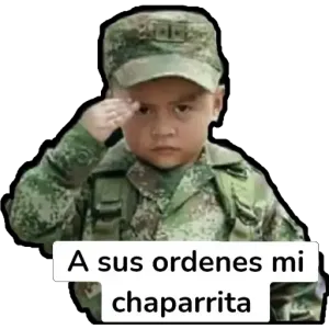 ihdtshm