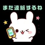 連絡白うさちゃん