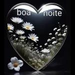 adicionar 