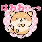 飛び出す！シバイヌの日常敬語スタンプ
