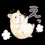 ゴールデンハムスター♡キンクマ