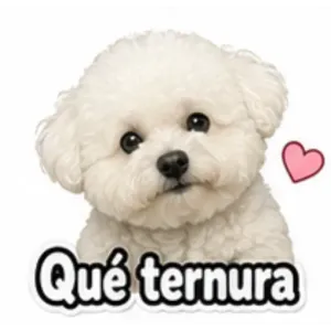 f4dt0rr