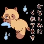 imananishiteru tanuki