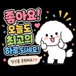 신나는 여름멍이 일상