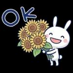 毎日使える夏☆ほぼ白うさぎ