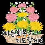 오늘은 꽃 주는 날 2