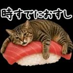 キジトラ猫飼いさんのダジャレ