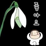 웃을 일만 가득한 요하