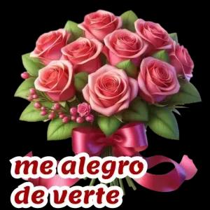 me alegro de verte - getsticker.com