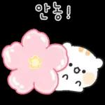 아기람꾸 : 벚꽃 에디션