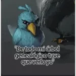 De todo mi árbol genealógico tuve que verlo yo