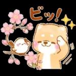 シマエナガといやしばいぬ❤️春/柴犬敬語