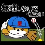 飛び出す！豆柴「野球と日常」