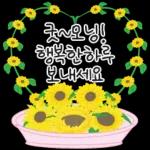 가정의 달 꽃 선물