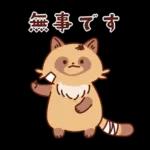 imananishiteru tanuki