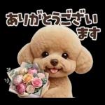 一年中使えることば集☆トイプードル