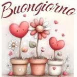 buongiorno 