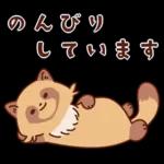 imananishiteru tanuki