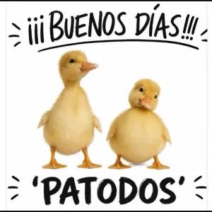 ¡¡¡ BUENOS DÍAS!!! 'PATODOS' - getsticker.com