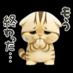 ねこちぃず♡ぐったり涙といたわり