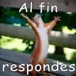 Al fin respondes