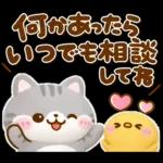 大人の気遣い♡立体ねこねこにゃんこ