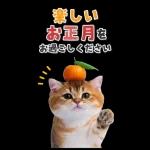 毎年使える♪リアルなにゃんこの年末年始