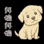 小拉拉 實用日常