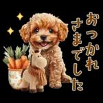 午年2026年！プードルとうまの年末年始