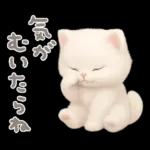 モフモフ白ネコ