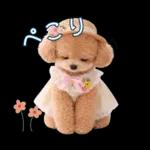 春♡とってもかわいいトイプードル