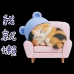 可愛小花貓超能幹的啦❤