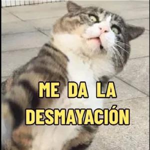 ME DA LA DESMAYACIÓN - getsticker.com